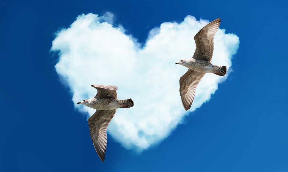 13 Φεβρουαρίου: Σήμερα γιορτάζουμε τον έρωτα ως Χριστιανοί Ορθόδοξοι 