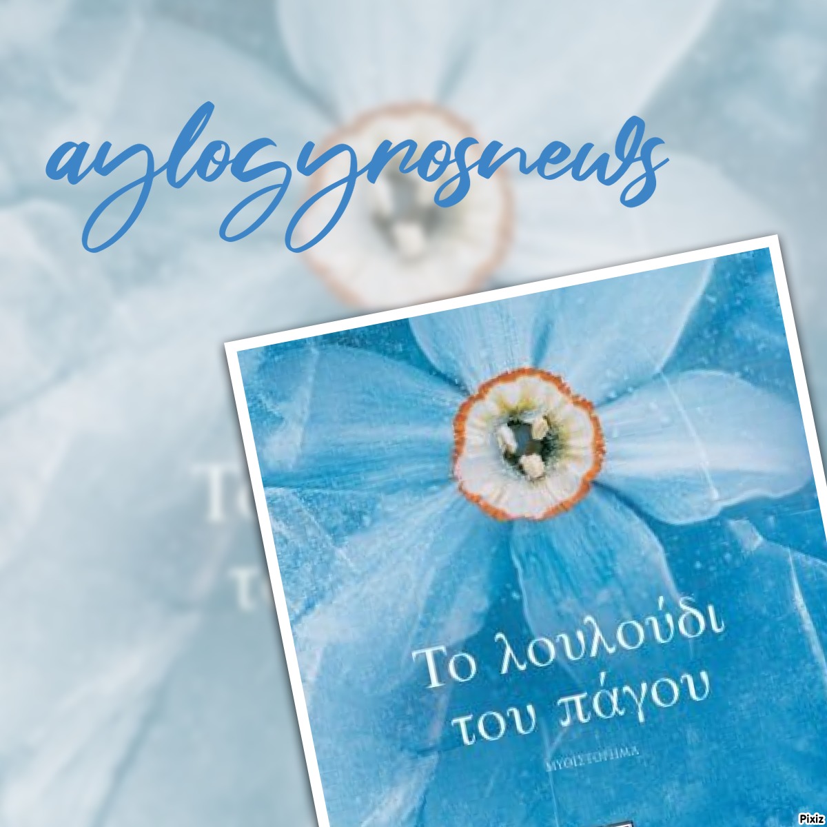 «Το λουλούδι του πάγου» της Μαρίας Τζιρίτα… στην προθήκη της αυλής μας
