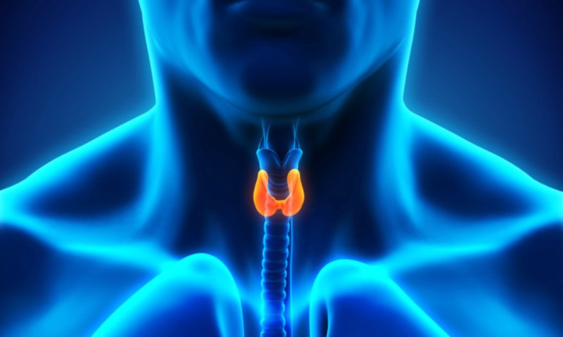 Θυρεοειδίτιδα Χασιμότο: Ποιους πλήττει συχνότερα και τα συμπτώματα για να προσέξεις