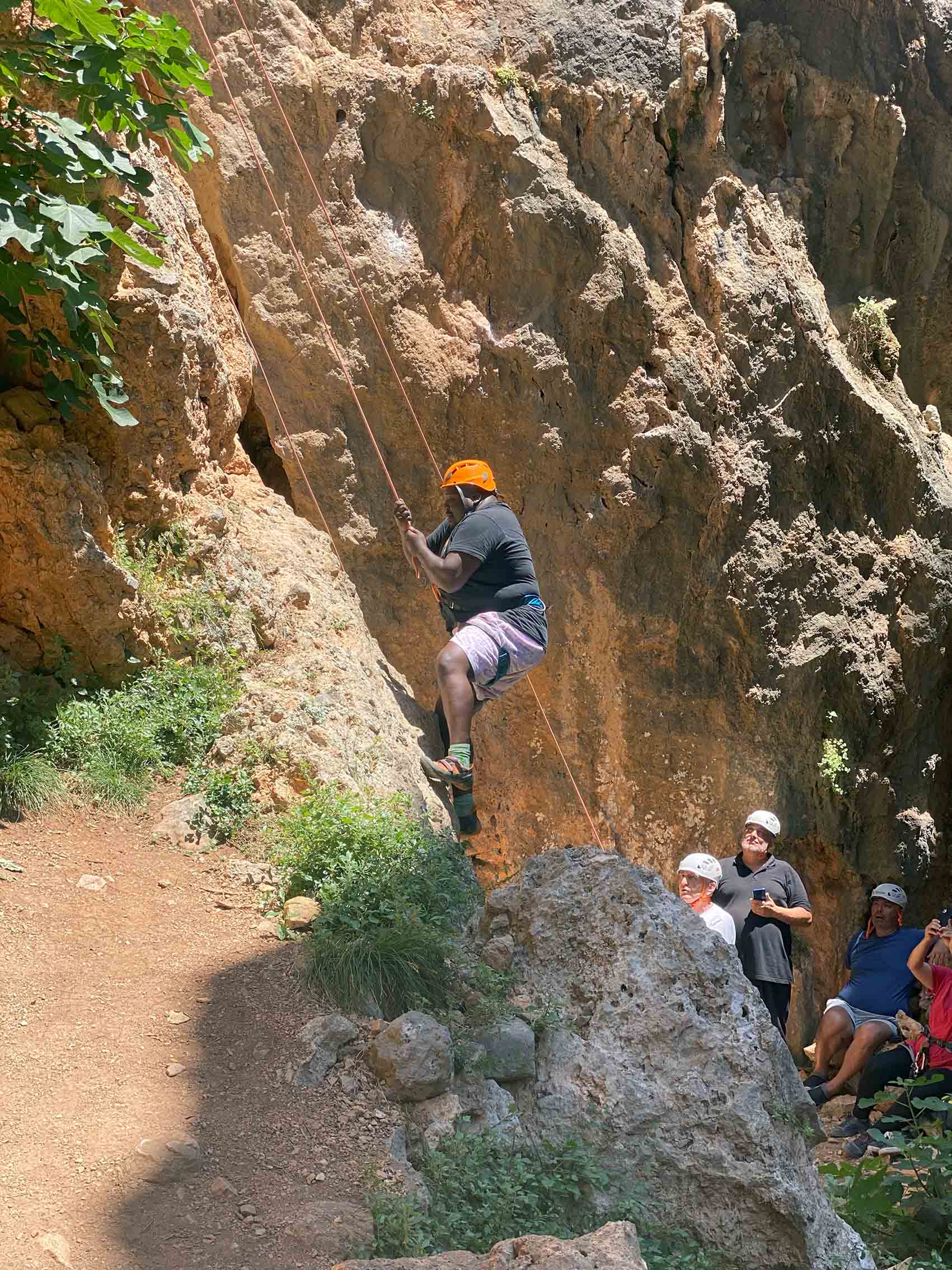 ΑΝΑΡΡΙΧΗΣΗ