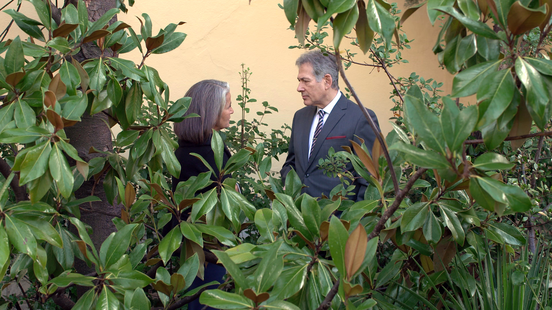 ΗΛΕΚΤΡΑ: Η Ηλέκτρα αποκαλύπτει στον Παύλο το σκοτεινό παρελθόν της με τον Νικόλα