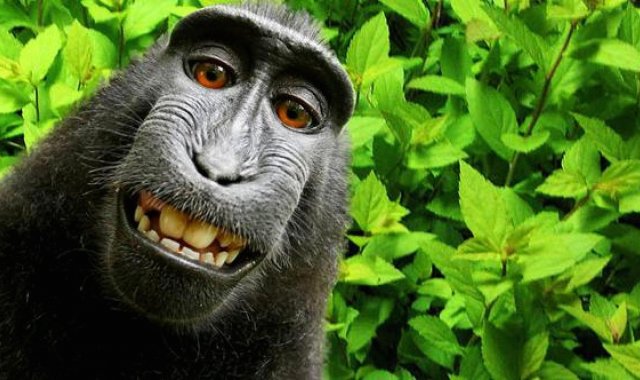 Γνωρίστε τα 45 είδη μα@ά@α που κυκλοφορούν ανάμεσά μας!!!