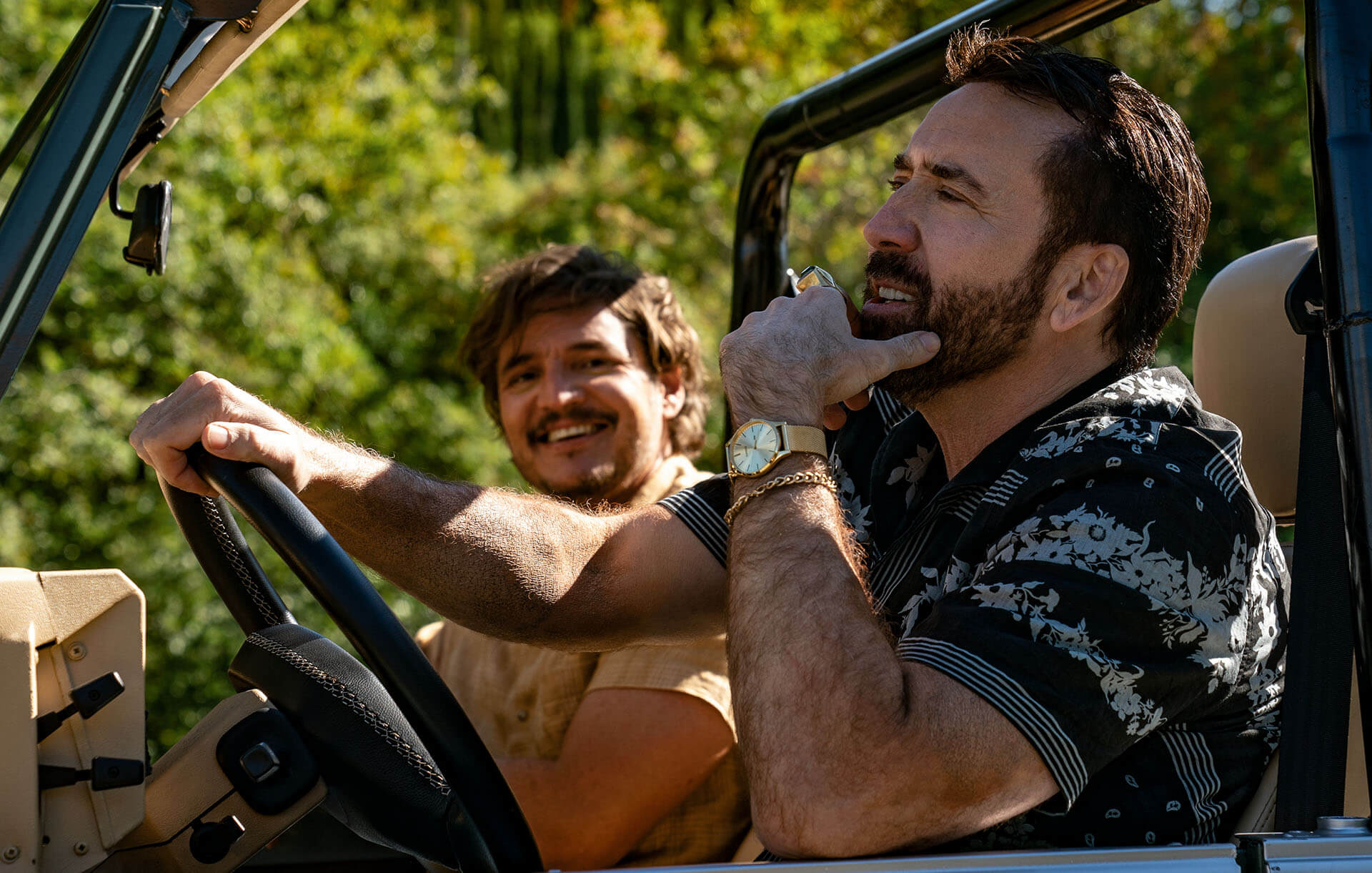 ΤΟ ΑΒΑΣΤΑΧΤΟ ΒΑΡΟΣ ΕΝΟΣ ΤΕΡΑΣΤΙΟΥ ΤΑΛΕΝΤΟΥ