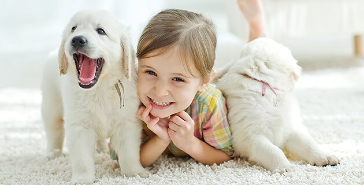 Πώς τα κατοικίδια βελτιώνουν την ψυχική μας υγεία…